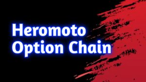 heromoto automated option chain